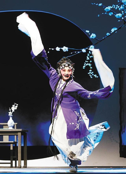 027-秦腔《八件衣》全本下集 西安市五一剧团演出.flv