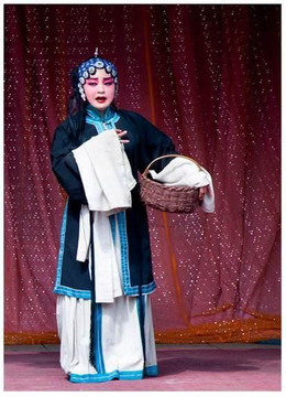 秦之声 2008-4-29-洪湖赤卫队雷陇琴-张英.mp3